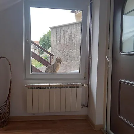 Emir Apartment *